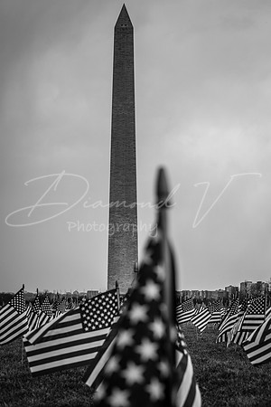 IMG_4766